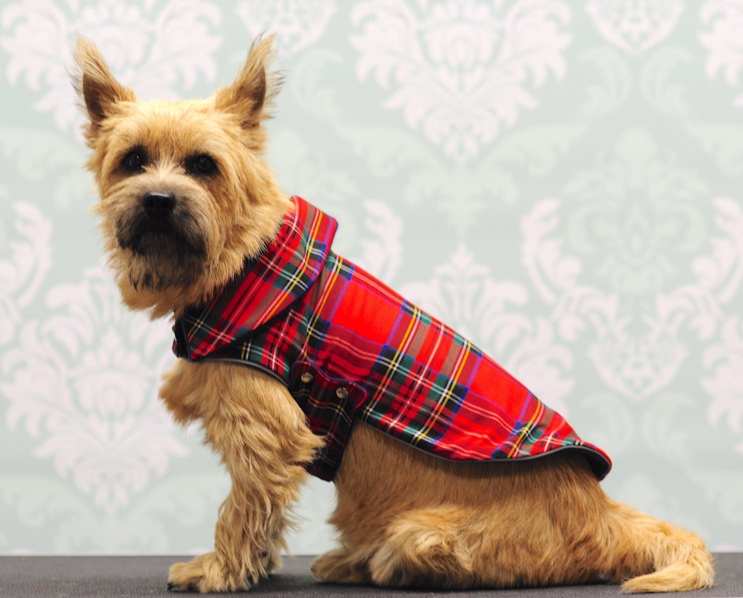 Tweed dog coat Scottish plaid custom westie walk jacket uk