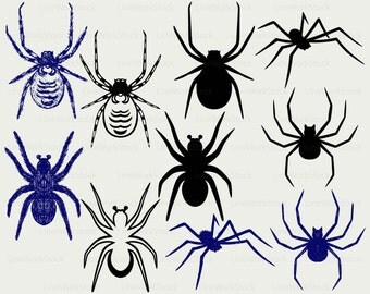 Spider svg,Tarantula spider clipart,spider svg,spider silhouette,insects cricut,spider cut files,clip art,digital download,designs,svg,dxf