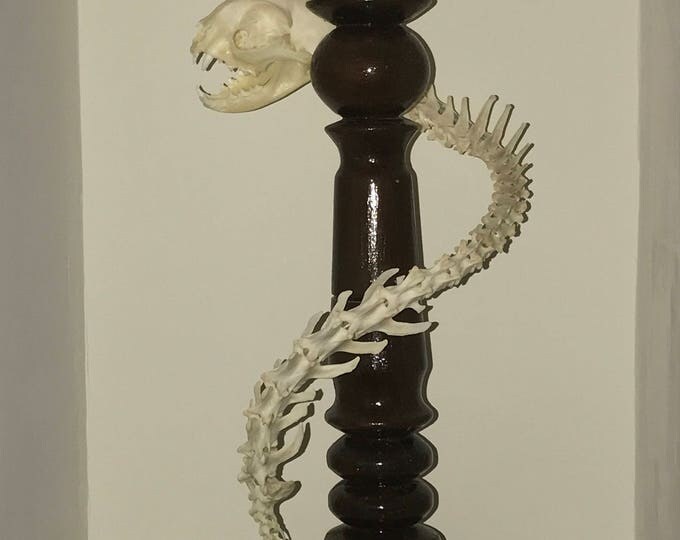 Original candlestick FabulouSkeletonS made of wood. Decorated by real animal bones and skull.