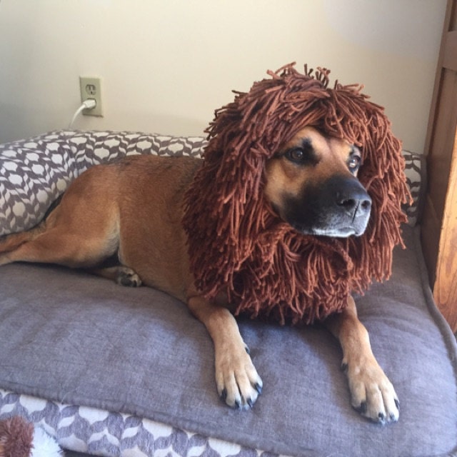 XLDog Halloween Costume