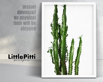 Cactus Wall Art cactus art print desert photography cacti wall art large Cactus Wall Art cactus art print desert photography cacti wall art large