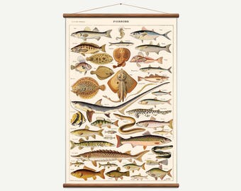 Vintage pull down chart fish / poissons. High Quality Handmade vintage art