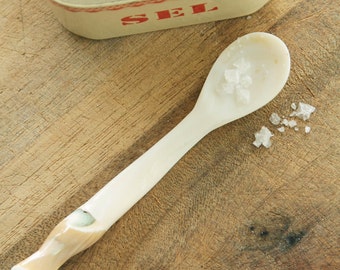 Natural Oyster Shell Mother of Pearl Spoons.