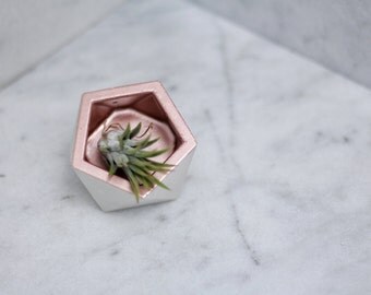 ROSE GOLD ICOSA Concrete Planter