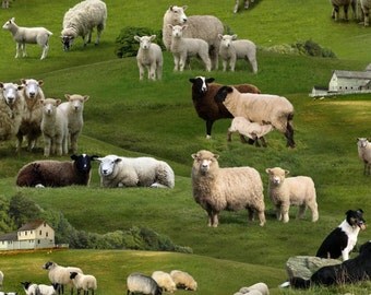 Sheep Fabric, Farm Fabric: Farm Animals Green Sheeps by Elizabeth's Studio 100% cotton Fabric by the yard 36"x44" (H208)