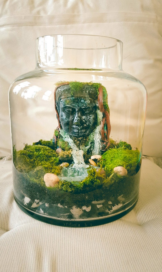 Large Terrarium D.I.Y Terrarium kit Living moss by RishStudio