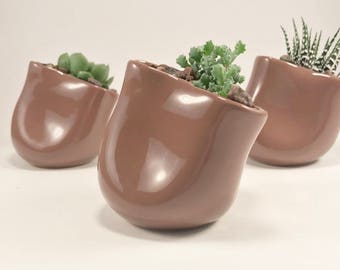 Succulent Planter - Slanted Planter