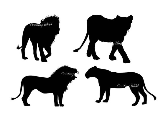 Download lion silhouette clipart family svg savannah lion cub art ...