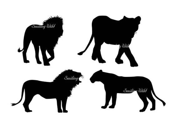 Download lion silhouette clipart family svg savannah lion cub art svg safari silhouette lioness lion ...