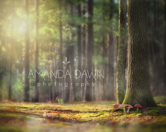 Digital backdrop, digital background, forest, enchanted, magical, photography backdrop, fairy backdrop