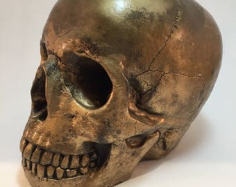 Human Skull - Antique Gold