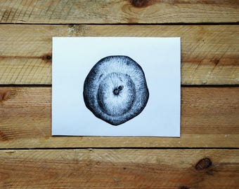 Original drawing "Pear" / from the series kind of fruity / graphite