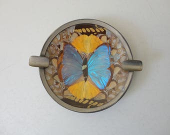 VINTAGE taxidermy BUTTERFLY ASHTRAY