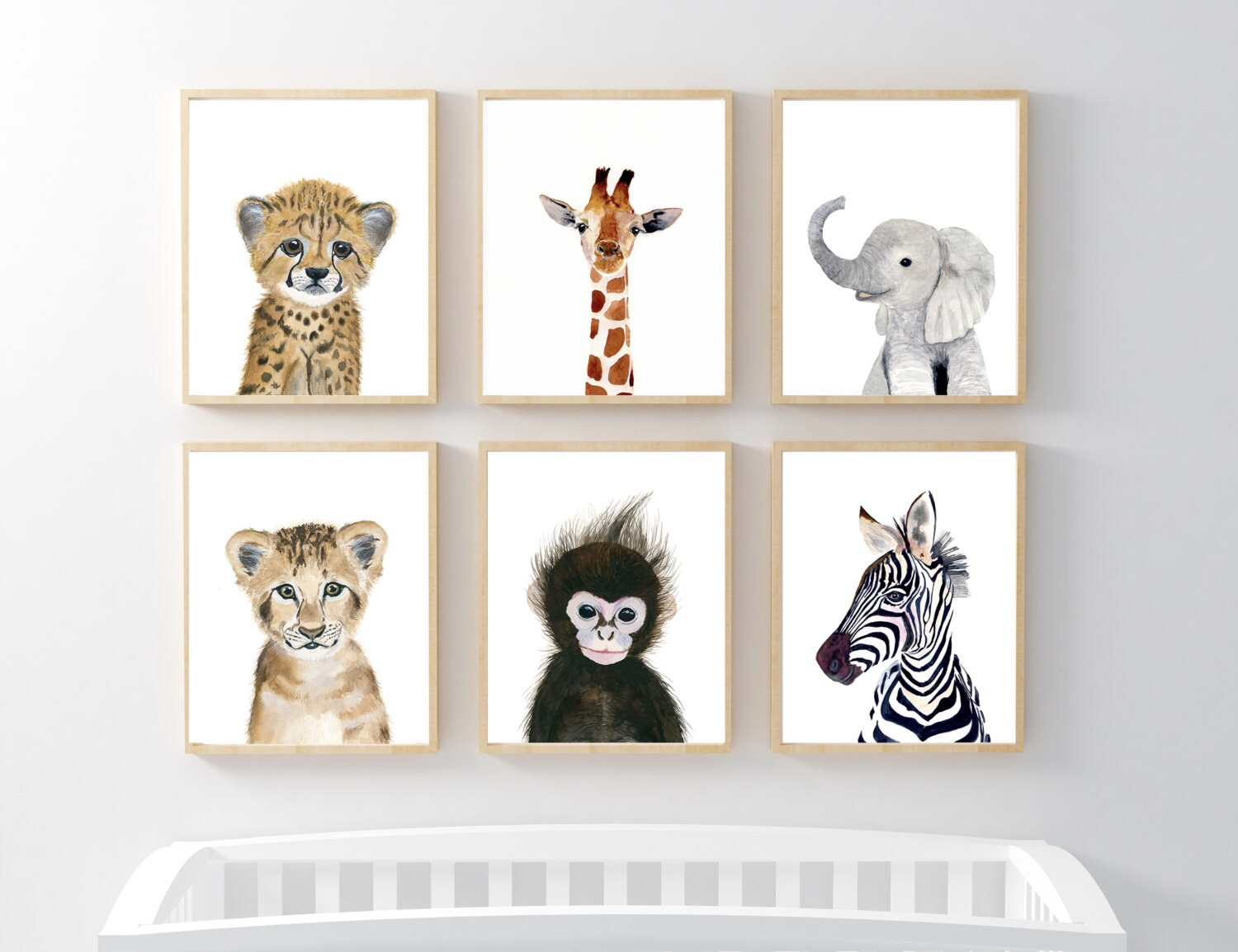Zebra Nursery Etsy African Baby Animals Nursery Print Set 6 Safari Art Prints Animal