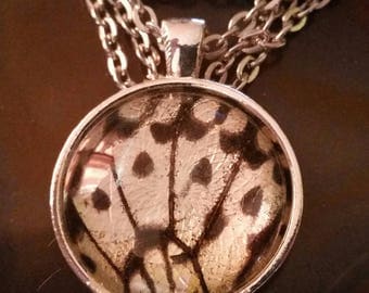 Butterfly wing necklace *genuine *taxidermy *curio *entomology