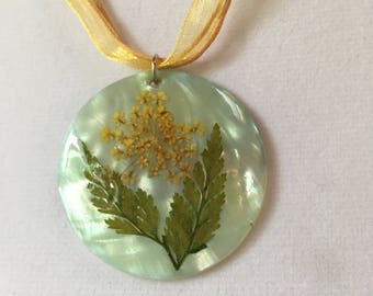 Flowers in a shell
