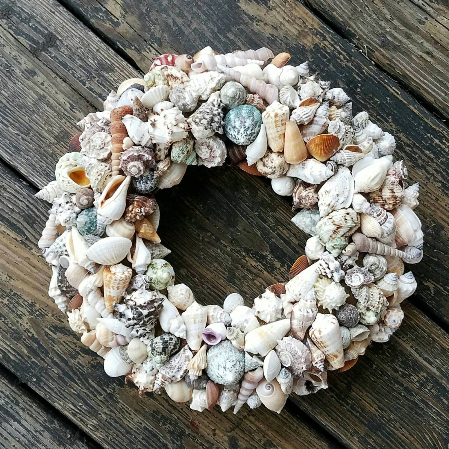 Wreath Shell Wreath Sea Shell Wreath