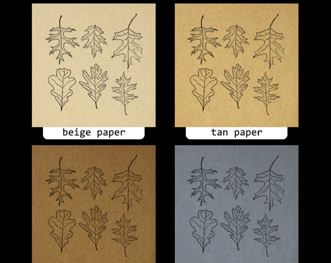 Leaf Image Graphic Printable Leaf Tree Leaves Collection Digital Collage Sheet Download Antique Clip Art Jpg Png Eps HQ 300dpi No.973