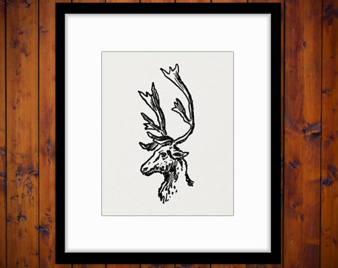 Digital Image Reindeer Deer Graphic Download Printable Artwork for Transfers Pillows Tea Towels etc HQ 300dpi No.2408