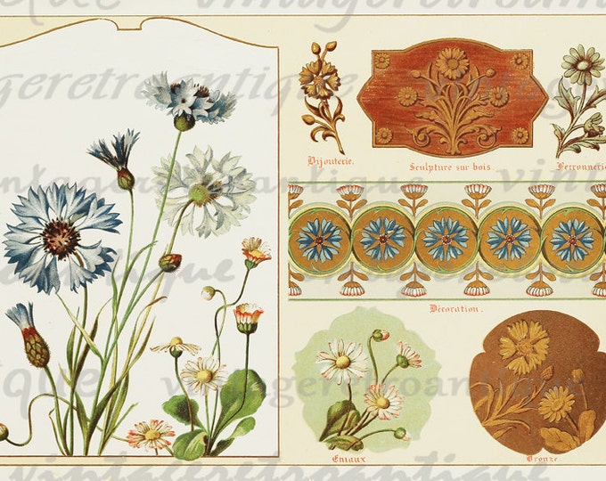 Digital Image Flower Collage Sheet Printable Antique Graphic Classic Color Download HQ 300dpi No.362