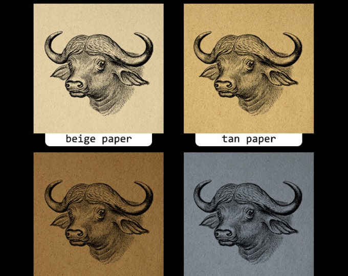 Printable Graphic Antique Buffalo Download Image Digital Vintage Clip Art Jpg Png Eps HQ 300dpi No.451