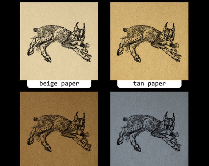 Printable Lynx Cat Image Graphic Animal Download Illustration Digital Vintage Clip Art Jpg Png Eps HQ 300dpi No.908