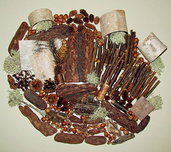 natural craft supply of birch bark red pine bark lichens natural craft supply of birch bark red pine bark lichens