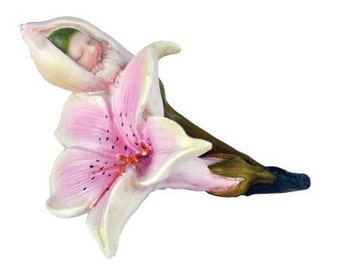 Fairy Garden - Star Gazer Lily Baby - Miniature