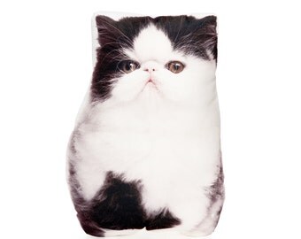 persian cat pillow