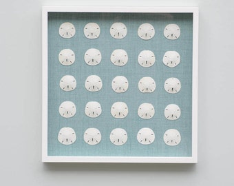 Extra Large Shadow Box with 25 Genuine Sand Dollars