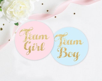 Gender Reveal Party Stickers, Team Pink Team Blue Stickers, pink and blue party, team girl and team boy stickers, sticker set