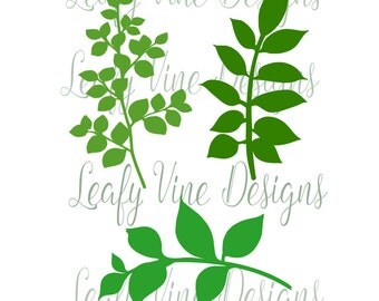 Leaf SVG Template, Leafy Vine Set, SVG cut files, Vine Cut files, Leaf Svg, Use with Giant or Small Paper Flowers, Leaf Template
