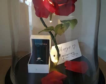 Beauty and the Beast Rose, Enchanted Rose, Rose in Glass Cloche Bell Jar, Light Up Rose, LED Lights - 13"