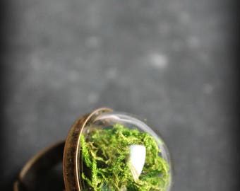 Ring "Nursery" MOSS terrarium