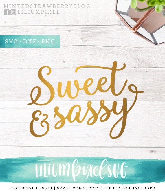 Download Sweet and Sassy SVG Cutting Files / Southern SVG Files Sayings