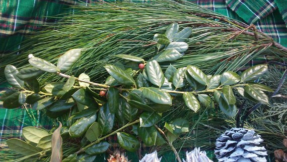 Homemade christmas Items similar to Box of Christmas Fresh trimmings great for DIY Swags,Garland, Wreaths,Mailbox