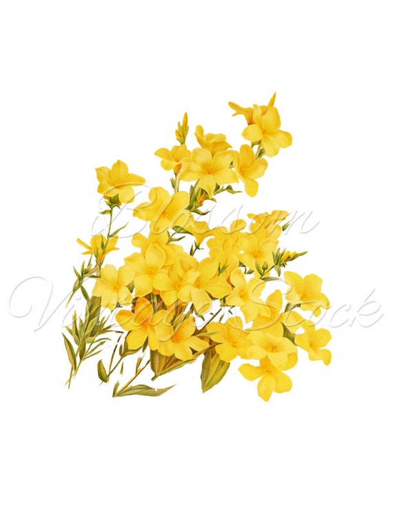 Yellow Flower Clip Art