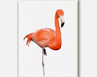 Flamingo Print Tropical Wall Art Flamingo Art Tropical Decor Large Print Art Tropical Print Poster Large Prints Wall Art Print Animal Art