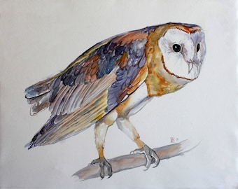 Original bird art Owl watercolor painting Original wall decor Brown blue bird Large watercolor art Zoological illustration Screech owl Art