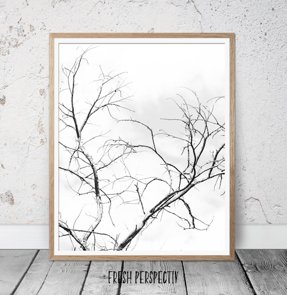 Black and white poster, black and white photography, black and white wall art, modern minimalist print, tree branches wall art, prints