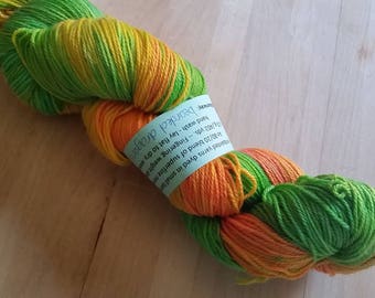 Bearded Dragons - Tiptoe Fingering Weight Yarn