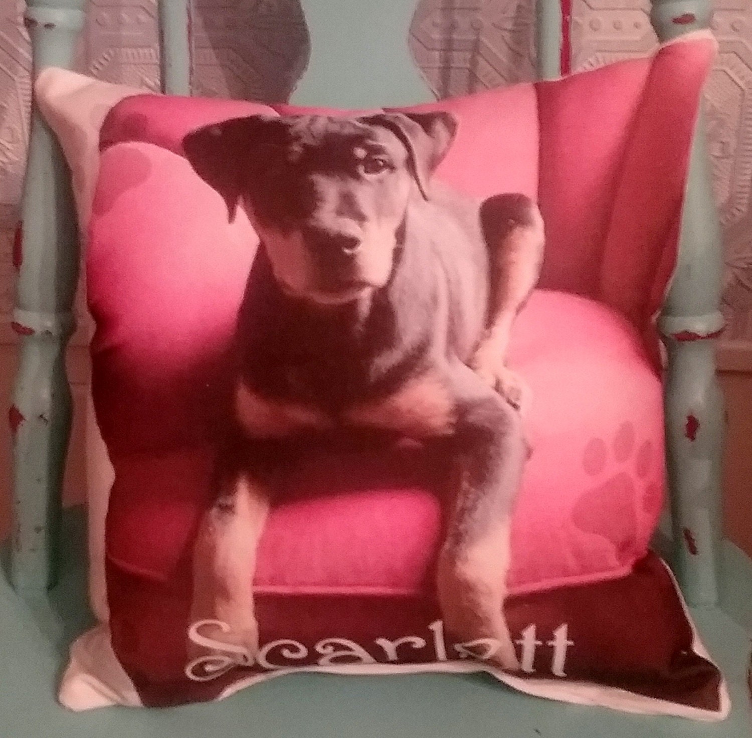 Personalized Pet Photo Gift Pillow Accent Pillow Throw