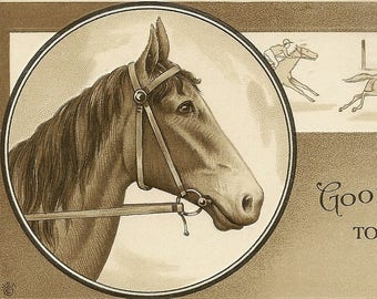 Horse Profile and Racing Scene Unused Vintage Postcard Good Luck To You Artist Signed James E Pitts Stecher Litho 59D