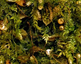 Fall Wreaths , Autumn Wreath , Rustic Wreath , Woodland Fern Wreath , Wreath , Front door , Outdoor Wreath , Enchanted Forest
