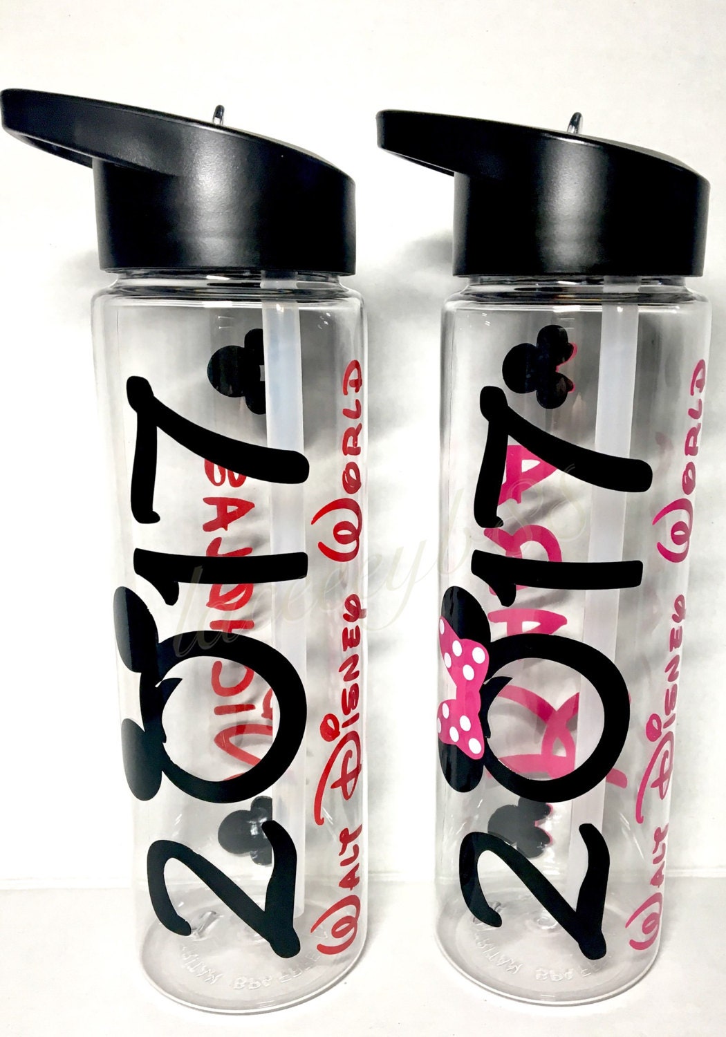 Disney World Water Bottle Disney Bottle Disneyland Water