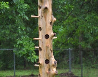 Suet bird feeder | Etsy