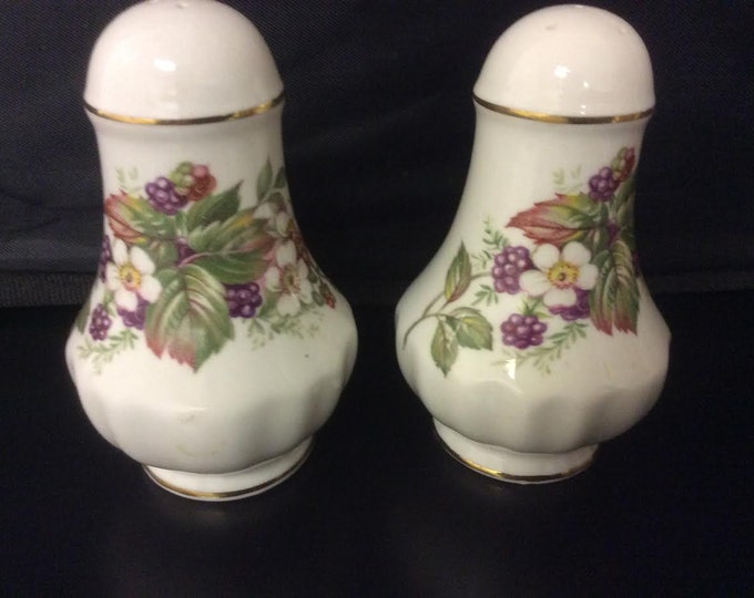 Queens China, Vintage Shakers, Salt and Pepper, Fine Bone China, Blackberry Design, Kitchen Shakers, England