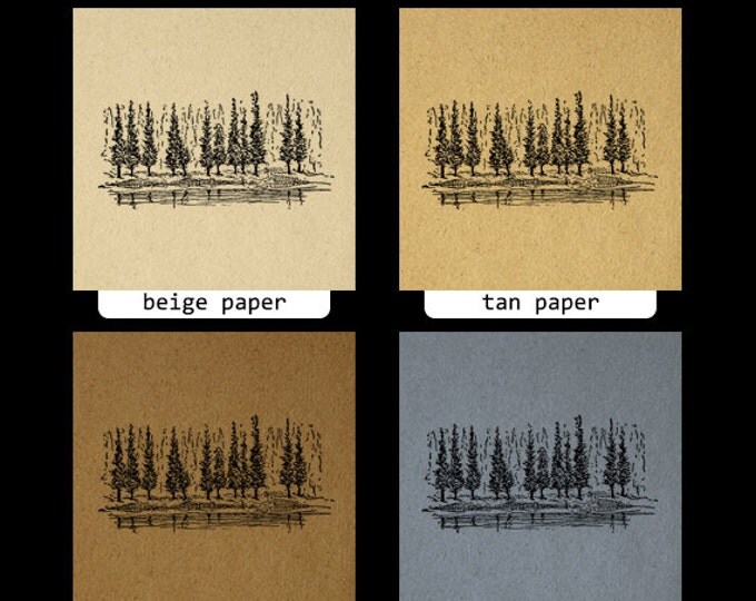 Printable Digital Pine Trees Download Antique Image Graphic Vintage Clip Art Jpg Png Eps HQ 300dpi No.830