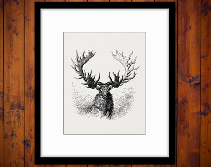 Digital Image Antique Moose Download Illustration Graphic Printable Vintage Clip Art Jpg Png Eps HQ 300dpi No.1674