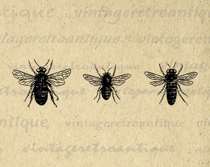 Bees Printable Image Graphic Collage Sheet Download Digital Vintage Clip Art Jpg Png Eps HQ 300dpi No.3275